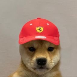 just a sad Ferrari fan