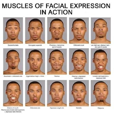 MrDarling19's profile picture. #businessman.#physiotherapist#fun of chorale music
DM open for business and home care services.