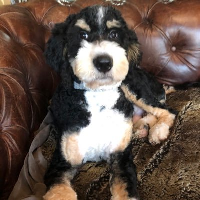 ronda6811's profile picture. Through every trial and triumph, I’ve learned strength isn’t just measured by muscles, but by the fire within that refuses to be extinguished