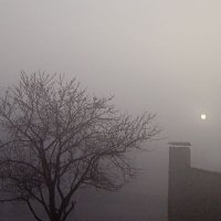 satılık hesap (@1kedibb) Twitter profile photo