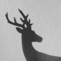 منيرا (@muniran_80) 's Twitter Profile Photo