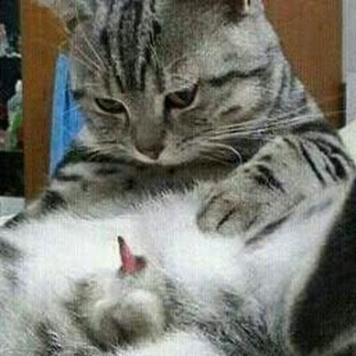 PurnamaDwi96256's profile picture. 
