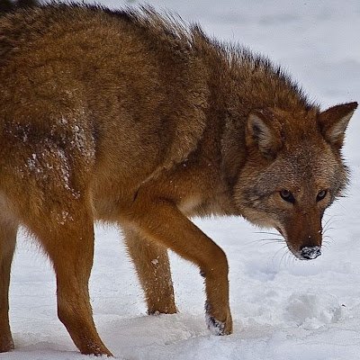 EGundic45988's profile picture. 