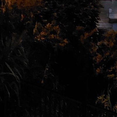 OussamaBenelha2's profile picture. 