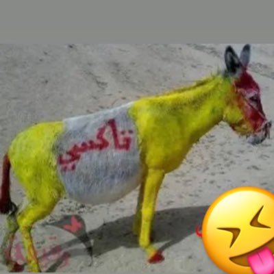 حقایق وحشتناک پشت پرده را افشا میکنیم/ حقایق بیانوی
