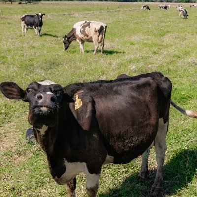 DBFarmer70's profile picture. 