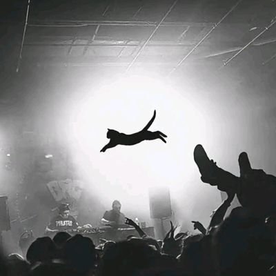 Iuciafrs_03's profile picture. 20, Piscis.
Más bonita que un aurora boreal 😘