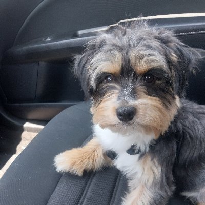 Off_Grid_Home's profile picture. 