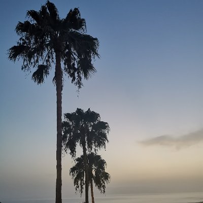 Lyonxh's profile picture. Soon a teacher Assistant in Thailand!
Very excited!!