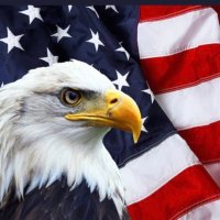Cynthia (@chighbe) 's Twitter Profile