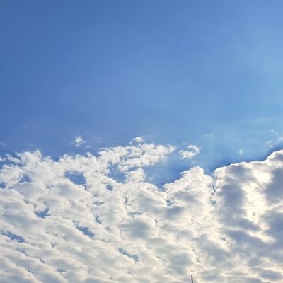 SHNさんのプロフィール画像