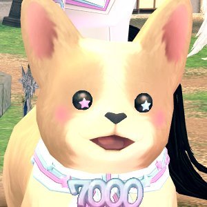 센샤さんのプロフィール画像