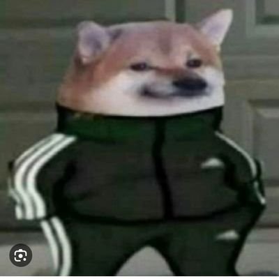 ADIDAS_PRRITO's profile picture. 