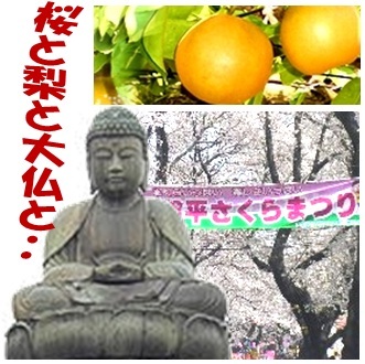 松戸市と鎌ケ谷市を担当する日本共産党松戸・鎌ケ谷地区委員会（政党支部）です。県議１人、松戸市議4人、鎌ケ谷市議１人を擁しています。いま話題の「しんぶん赤旗」（電子版）の購読申し込みはhttps://t.co/mPw0zyETyDへ