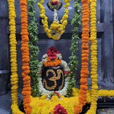 shivShambu1111's profile picture. Shiva Sharan
