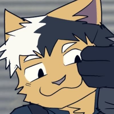 Country Catさんのプロフィール画像