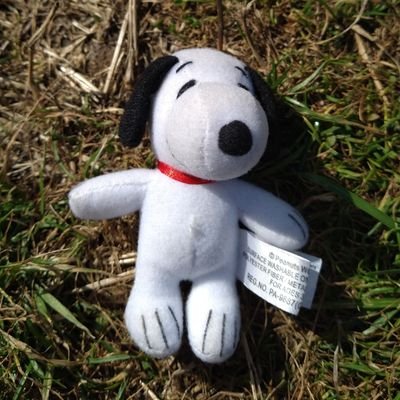 a snoopy keychain going about his day