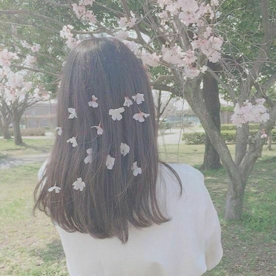 TOMOKA952327718's profile picture. ほんとだれでもいいので今すぐヤりたい。とりあえず話聞いてほしいです💞