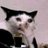 Y.tod's Twitter (X) avatar
