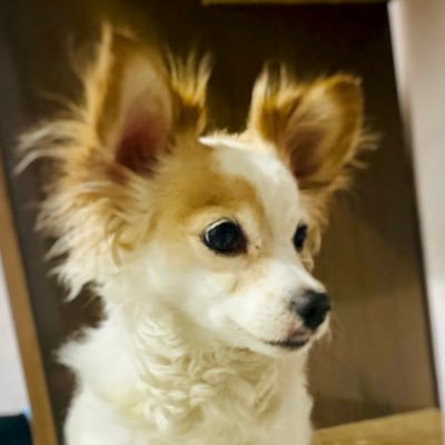 mmrzahr's profile picture. 