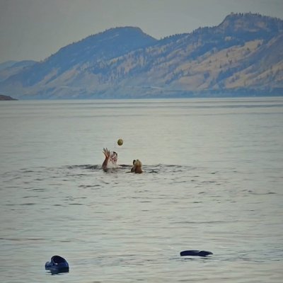 GregWPRoss's profile picture. WorldWideWebBrowser