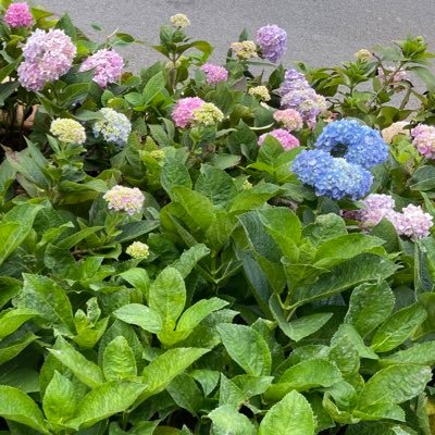 Brighton_Chen's profile picture. Generalist/ SFP modules / video gaming accessories