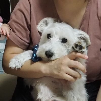 lb6n4CuLihzb34's profile picture. 白い小犬です
KALDIに行くのが好きです
中性脂肪と闘ってます
愛用品はポメラdm5