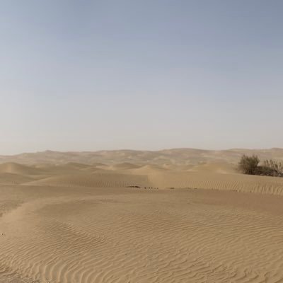 houshuen1's profile picture. 静思