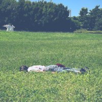 しぶや はづき (@hachi__81) 's Twitter Profile