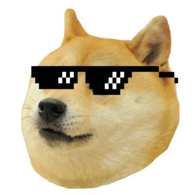 whycryptodoge Profile Picture