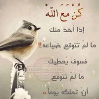 محمد محمد (@albarhomba24741) Twitter profile photo