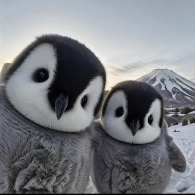 doublewinp95016's profile picture. 