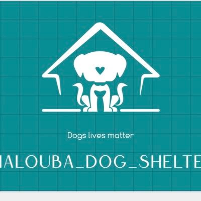 Malouba_shelter Profile Picture