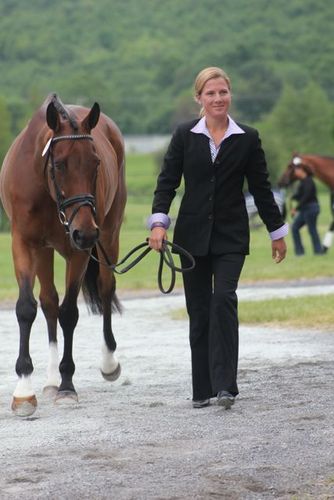 Located in Crozier VA and Aiken SC. Ashley Adams Eventing - Riding, training, coaching, and lessons for Horses and riders! #dowork instagram @aaeventing