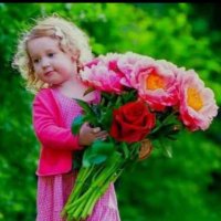 Deva (@sunkesulad21049) 's Twitter Profile
