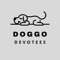 Devotees Doggo(@DoggoDevotees) 's Twitter Profile Photo