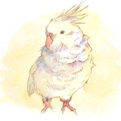 基本鳥さんを愛でる垢、
自分では滅多と呟かないと思いますが
仲良くしてやって下さい。
#オカメインコ と #セキセイインコ が大好きです。
#鳥好きさんと繋がりたい 
基本鳥垢さん以外はフォローバックしません。
ご了承ください。
無言フォロー失礼します。
よろしくお願いします。
2023年8月23年登録。