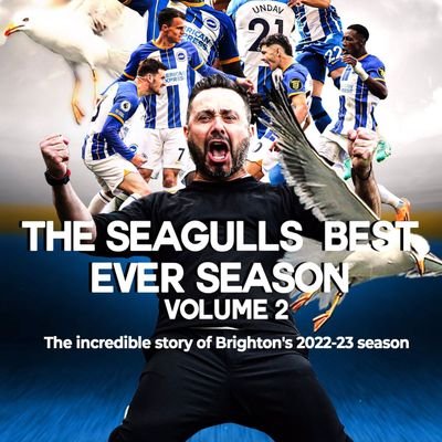 Brighton & Hove Albion Fan, 

We Are Brighton Contributor, Author, Law Enforcement Trainer.