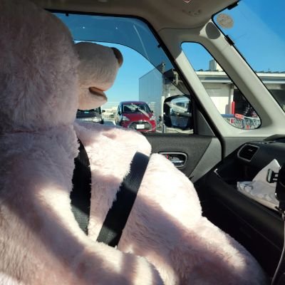 Couichi05S's profile picture. カメラ大好き、写真撮る事大好き‼️

七五三•神前式•結婚式•ポートレート撮影や風景•星空撮影まで経験してます😊