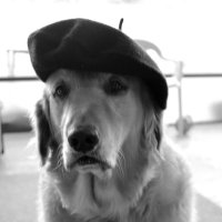 Le Dog(@the3dge0fSan1ty) 's Twitter Profile Photo