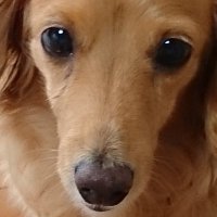 まさまさ (@zbouxy8vps81496) 's Twitter Profile