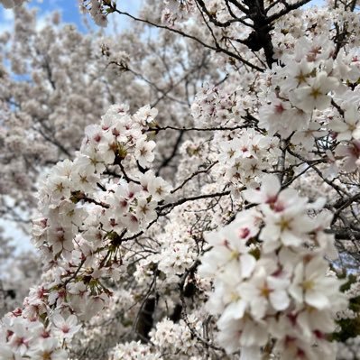 小2から不登校の子の母。 子は現在小4。 凸凹、ASD.ADHD 娘に向き合うために、毎日笑顔で大好きを伝える報告アカウント。 怒らない、褒める、大好きだよを伝えまくる!