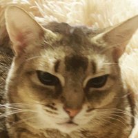 o오ri리 (@chosom3) 's Twitter Profile