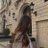 wandervoyage's profile image