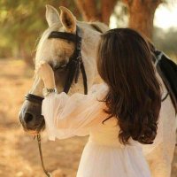 شذى (@shtr45) Twitter profile photo