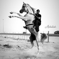 captain/ Abdullah A alshahrani🧢 (@strong_horse2) Twitter profile photo
