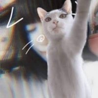 ねこてん🥕 (@nekoten_7) 's Twitter Profile