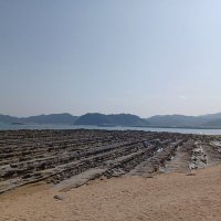 TKC (@ta144712) 's Twitter Profile