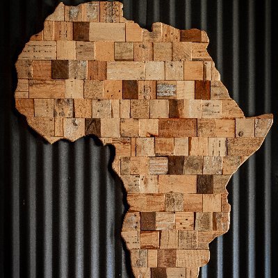 L'Afrique avant toute autre chose✊🏿🇸🇳🇨🇲🇨🇮🇬🇼🇬🇾🇬🇳🇲🇱
