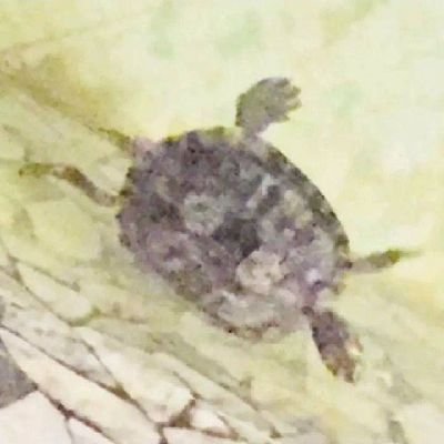 B66BGcOP7ZpysmD's profile picture. 🇨🇳/20+/我有点老了这个格式怎么介绍自己